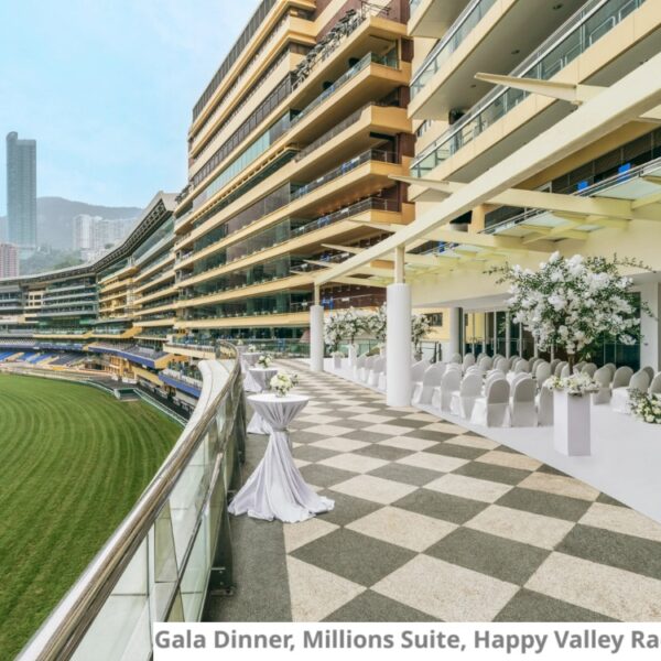 Happy Valley Millions Suite